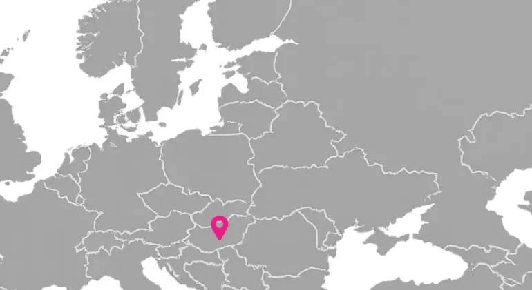 Global expansion strategy and international market vision for logistics automation company